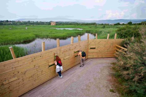 Listen to the birds of the Škocjan bay